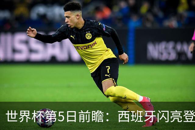 世界杯第5日前瞻：西班牙闪亮登场 伊沙亮相力争开门红